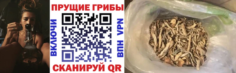 закладки  Североуральск  Галлюциногенные грибы мухоморы 