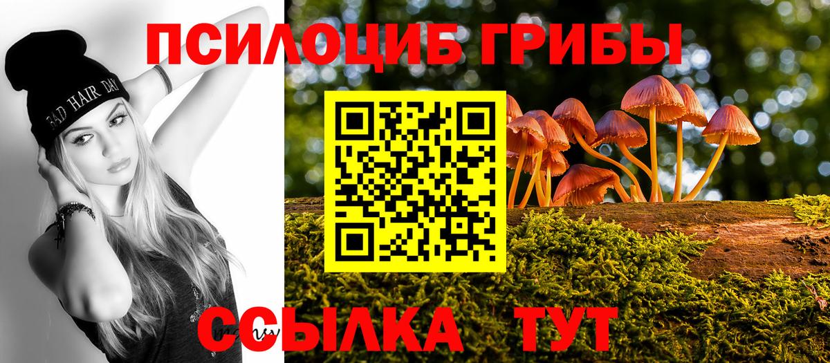 Псилоцибиновые грибы GOLDEN TEACHER  Галлюциногенные грибы Magic Shrooms  Североуральск  Вход с VPN 
